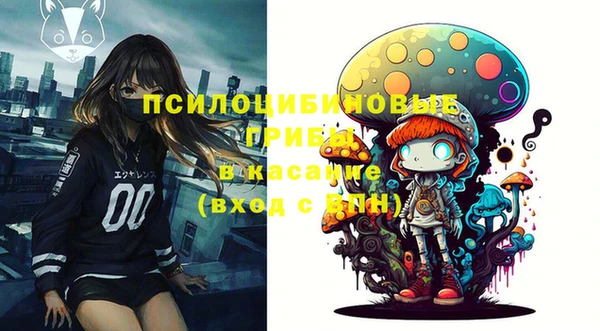 хмурый Белоозёрский