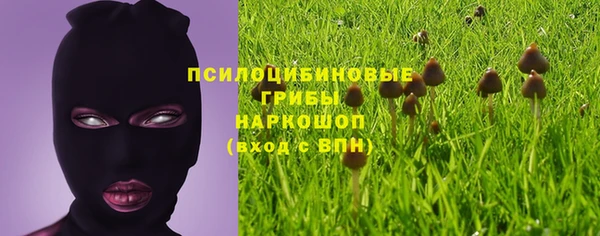 а пвп мука Беломорск